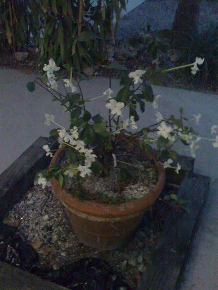 Key Largo Inn Kültér fotó